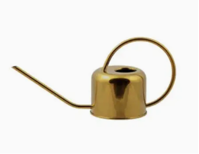 0.9L Watering Can