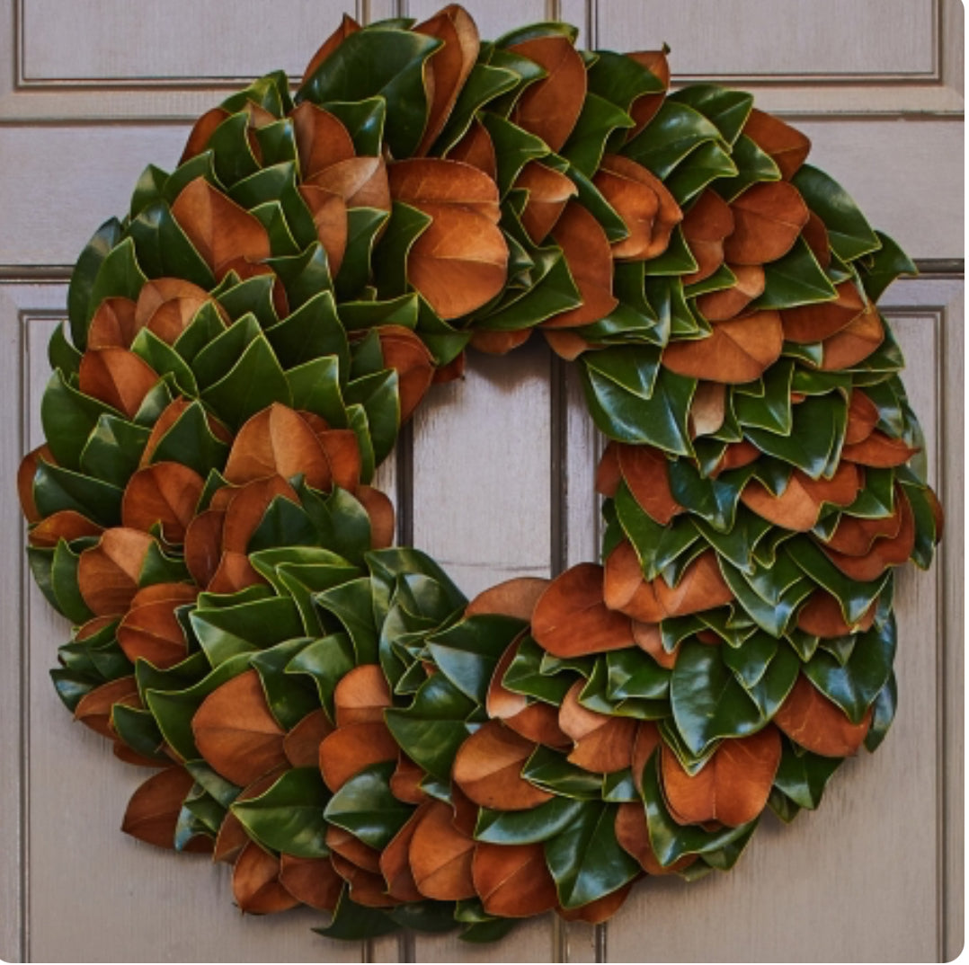 Magnolia Wreath - 18"