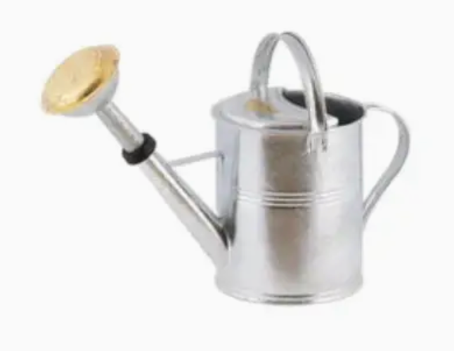5L Watering Can